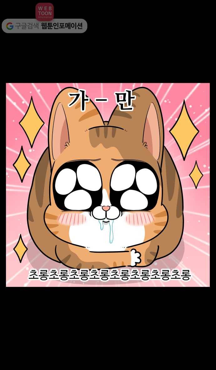 노곤하개 시즌3 4화 낚시터 고양이들(2) 5
