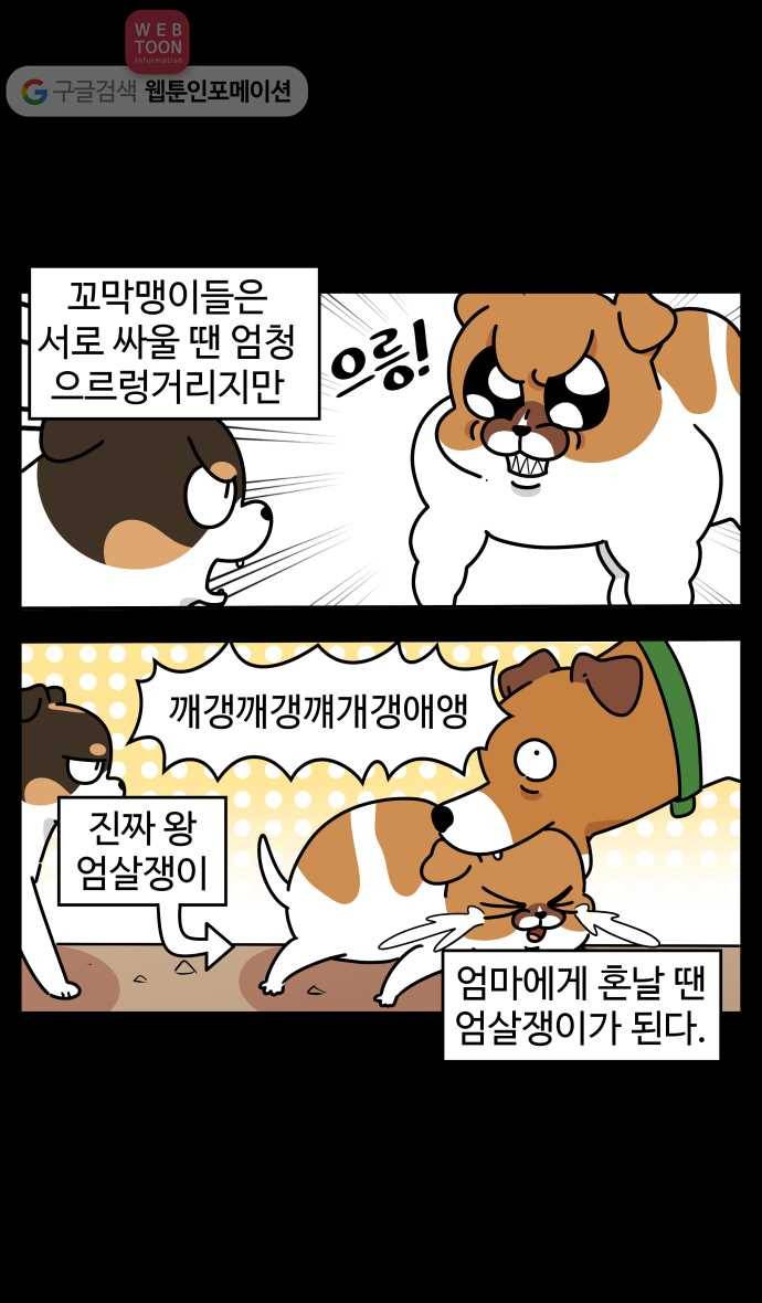 노곤하개 시즌3 24화 육아일기 (2) 4