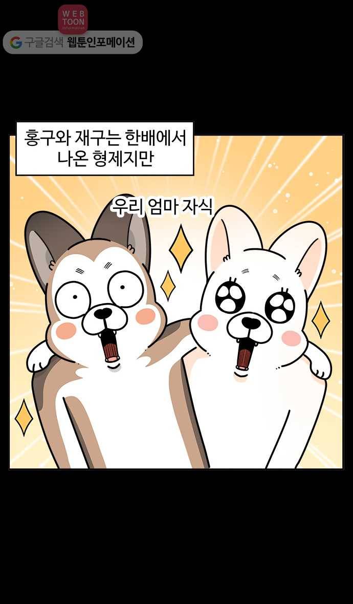 노곤하개 시즌3 44화 멍멍이들의 연애 2