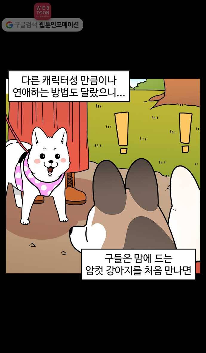 노곤하개 시즌3 44화 멍멍이들의 연애 4
