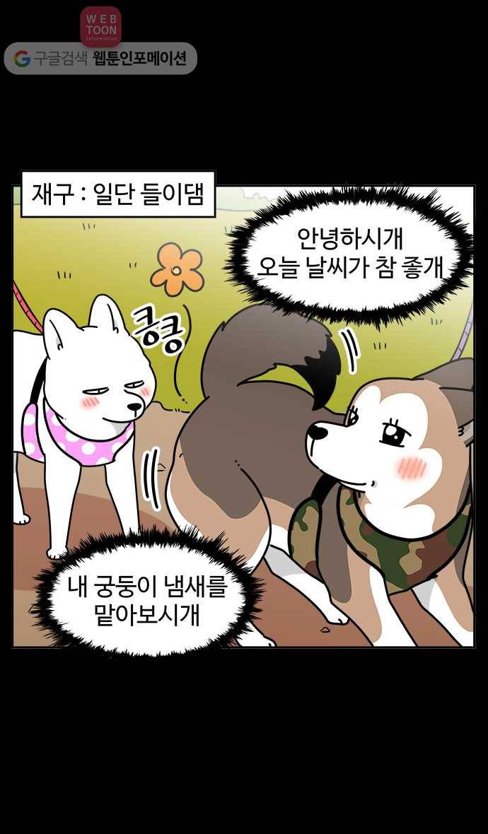 노곤하개 시즌3 44화 멍멍이들의 연애 5