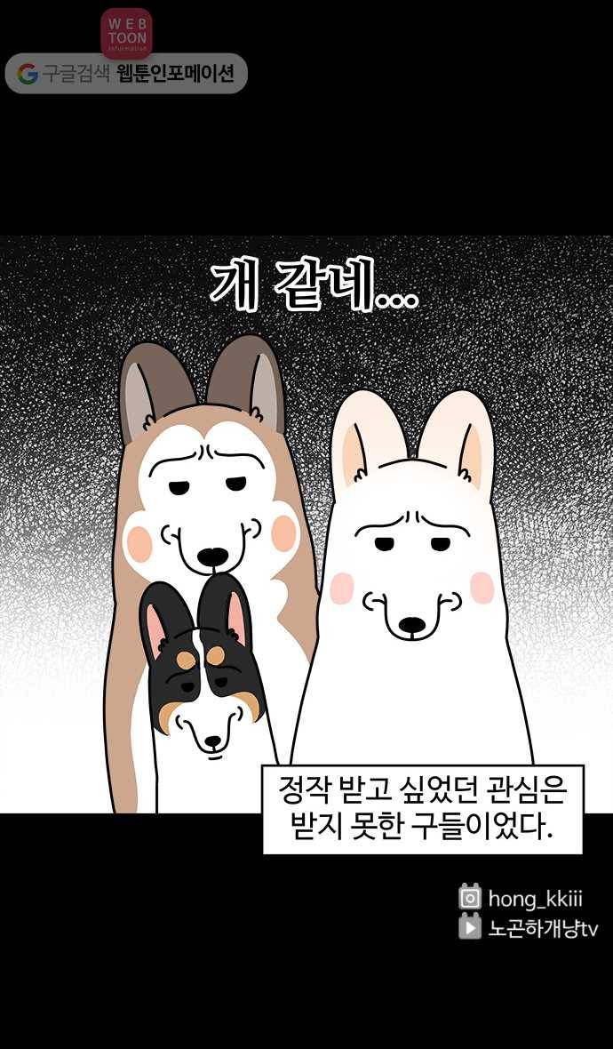 노곤하개 시즌4 2화 구들과 제주도 방언 2