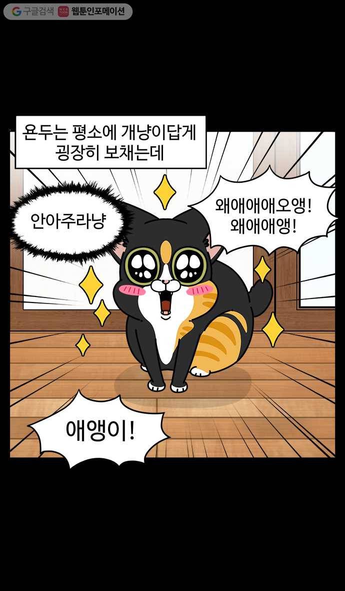 노곤하개 시즌4 11화 고양이의 미스테리 (2) 3