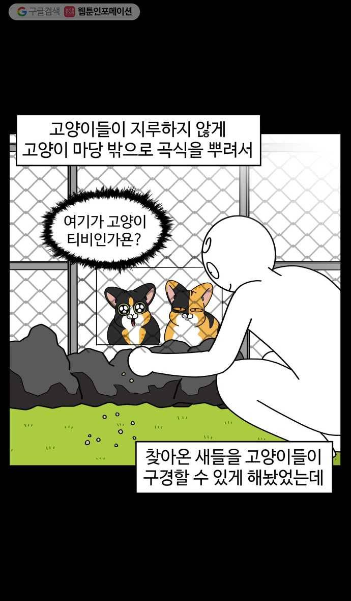 노곤하개 시즌4 18화 제주도의 동물들 4
