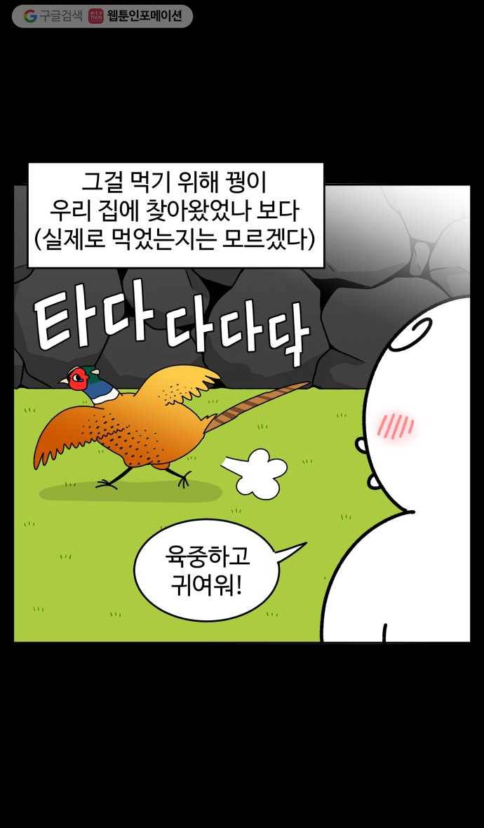 노곤하개 시즌4 18화 제주도의 동물들 5
