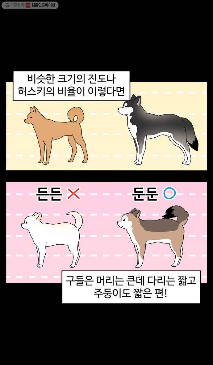 노곤하개 시즌4 24화 멍냥이와 만화적 표현 (2) 3