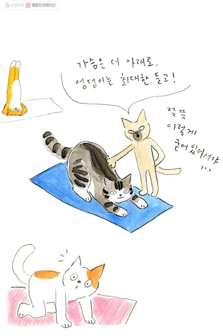 은동은동+옹동스 19화. 요가원의 냉미남 3