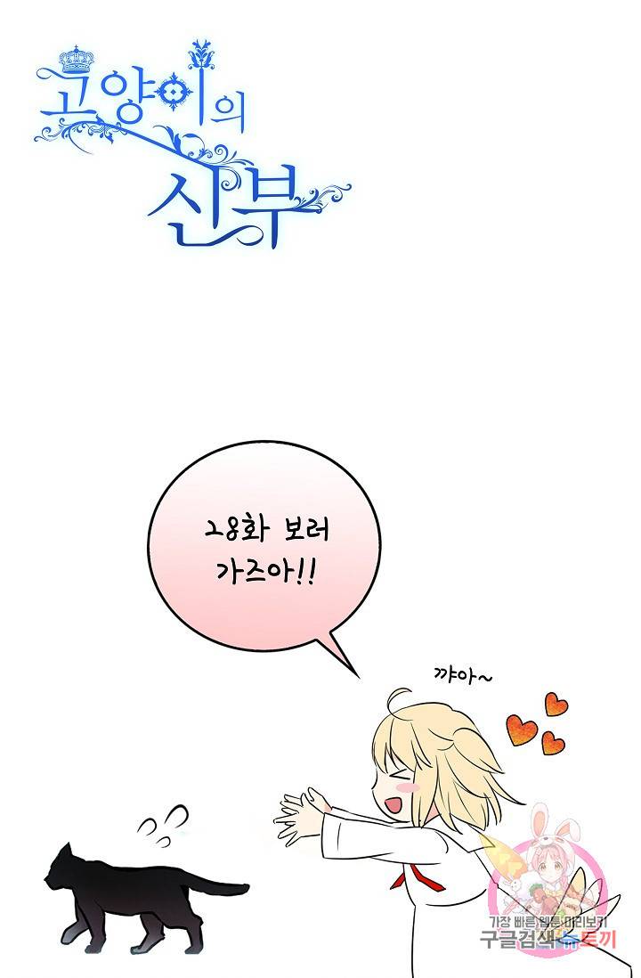 고양이 신부  28화 1