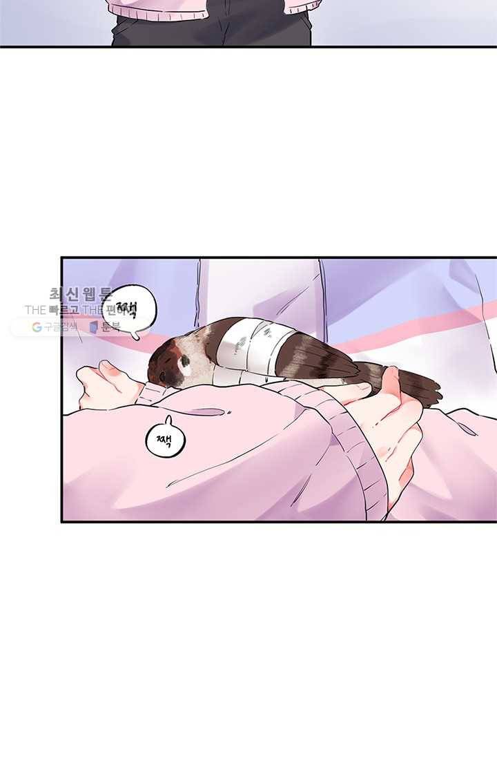 SOS! 사랑에 빠졌나방 제25화 4