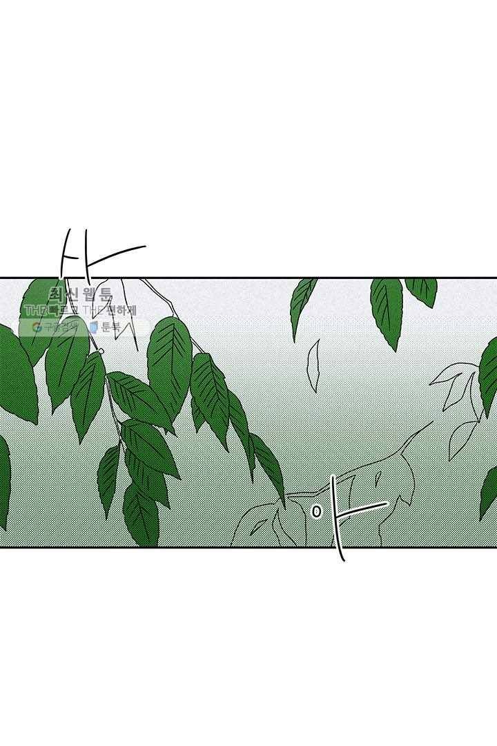 밀과 보리가 자란다 28화 16