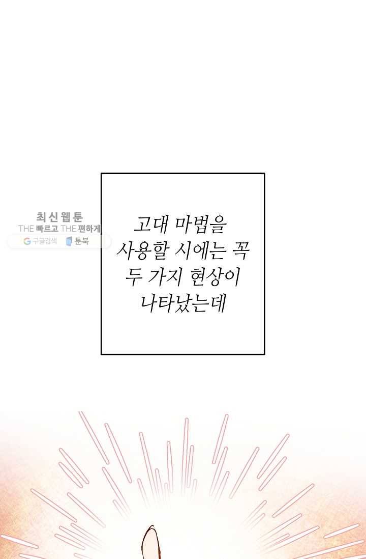 소설 속 악녀 황제가 되었다 54화 108
