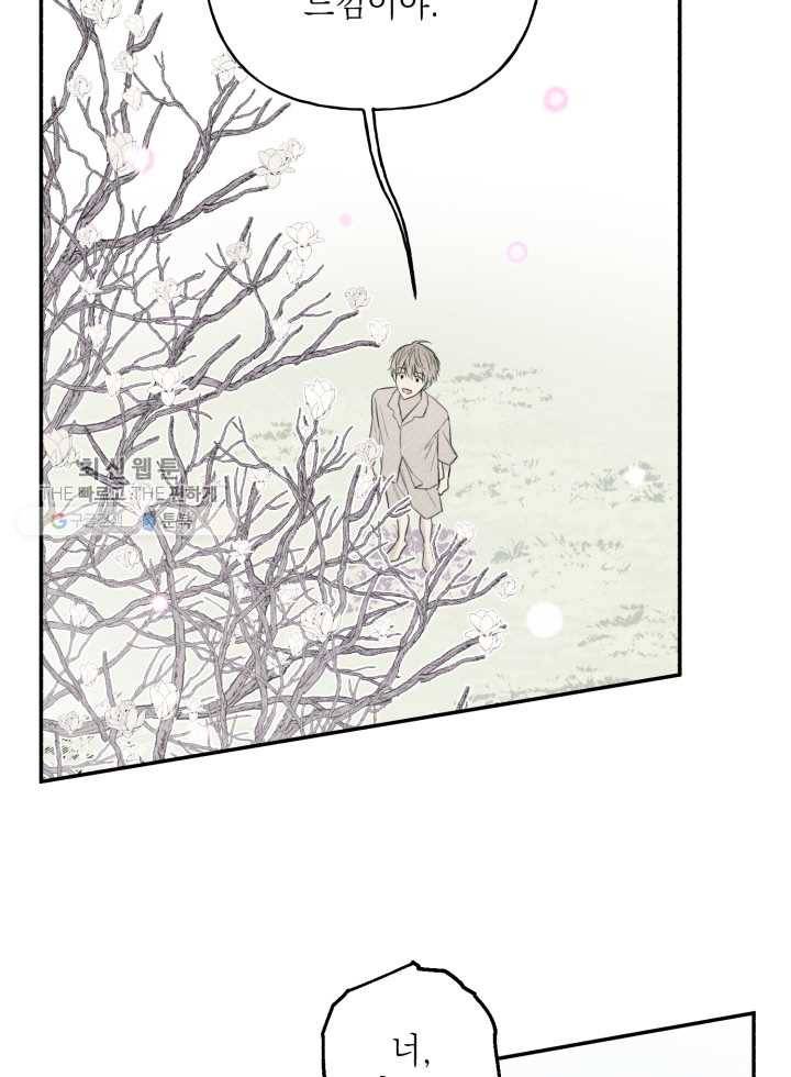 엔젤 버디 42화 11