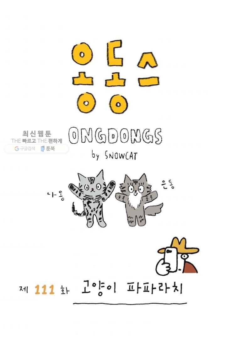 은동은동+옹동스 111화. 고양이 파파라치 1