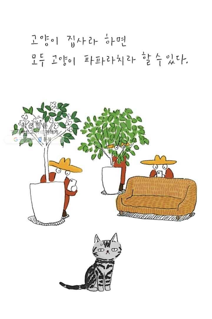 은동은동+옹동스 111화. 고양이 파파라치 6