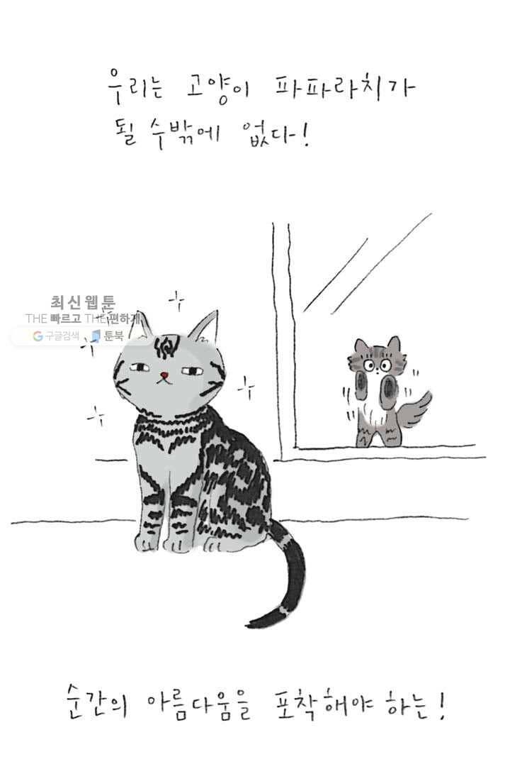 은동은동+옹동스 111화. 고양이 파파라치 7