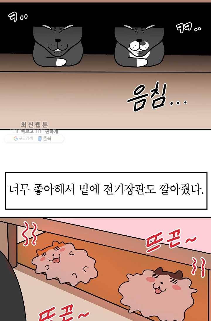 넘 많은 고양! 055화 3
