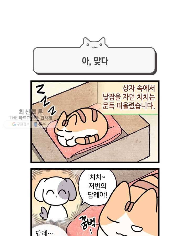 지구의 주인은 고양이다 189화 1