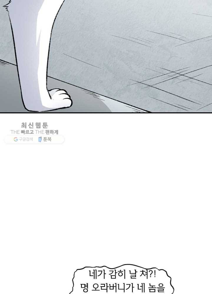 황비는 여우해 38화 6