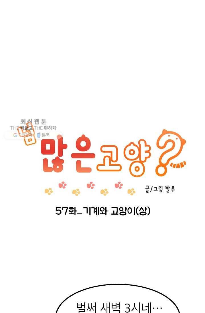 넘 많은 고양! 058화 1