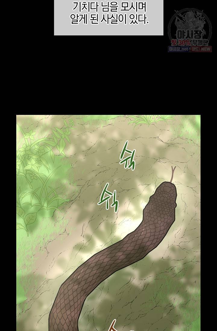 황금숲 19화 2