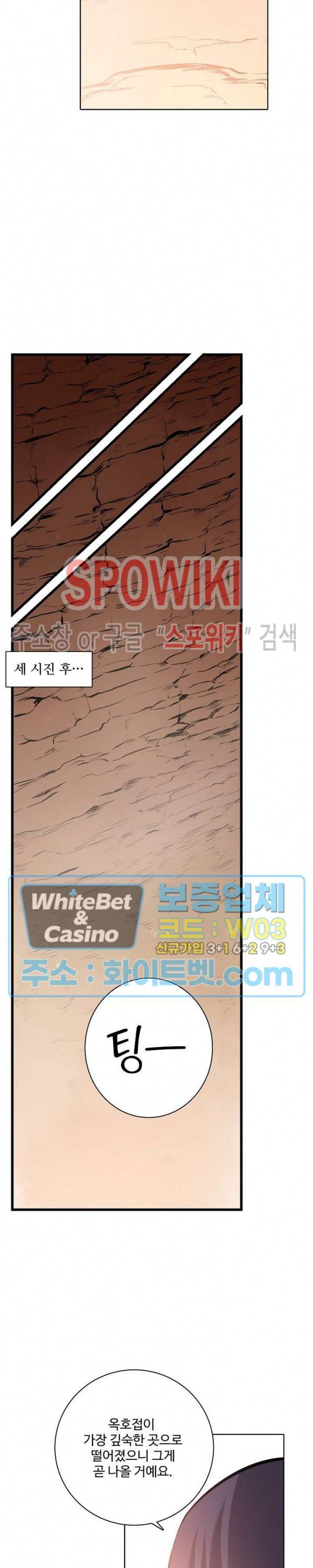백련성신 343화 20