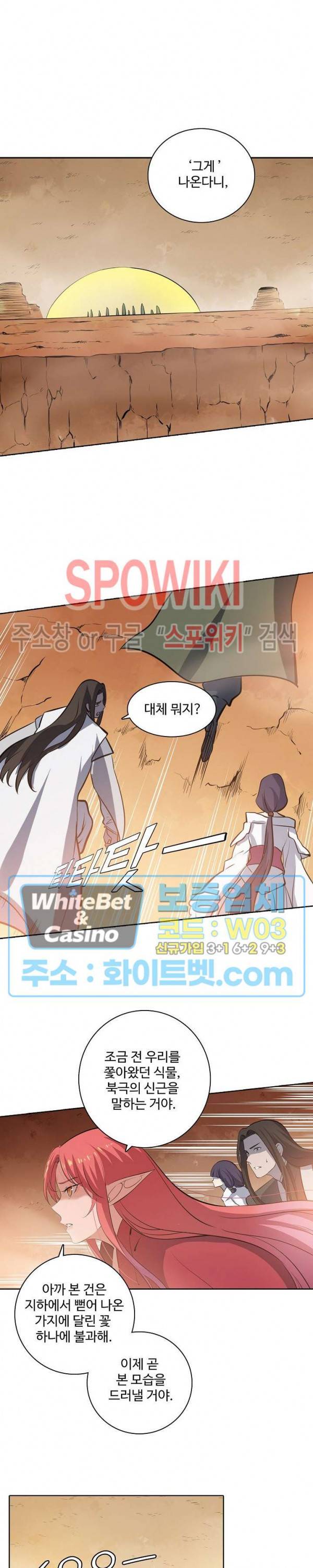 백련성신 343화 22