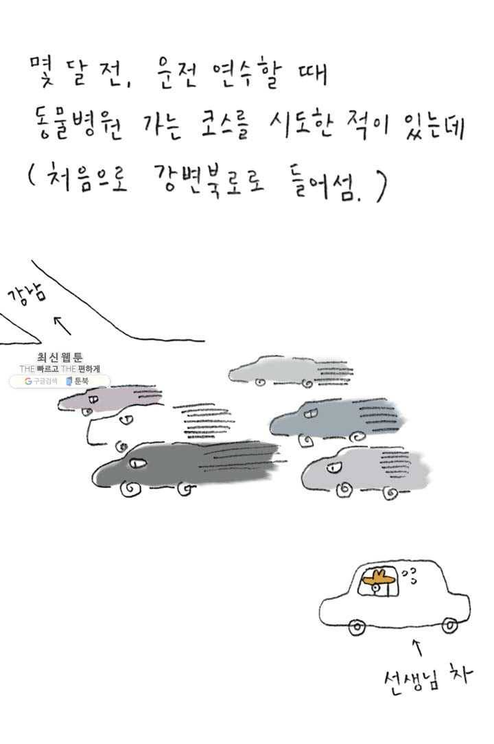 은동은동+옹동스 124화. 고양이와 드라이브 5
