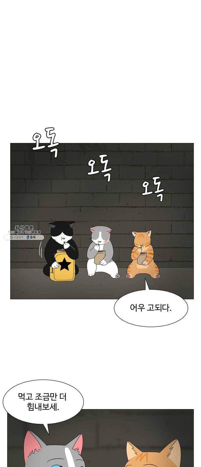 야생천사 보호구역 11화 푸른 영혼을 찾아서 (2) 1