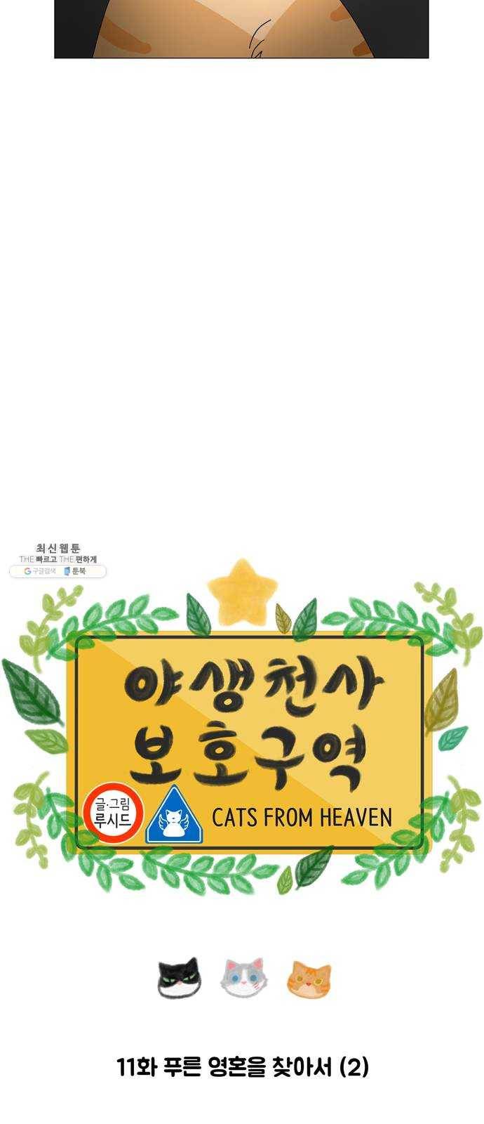 야생천사 보호구역 11화 푸른 영혼을 찾아서 (2) 5