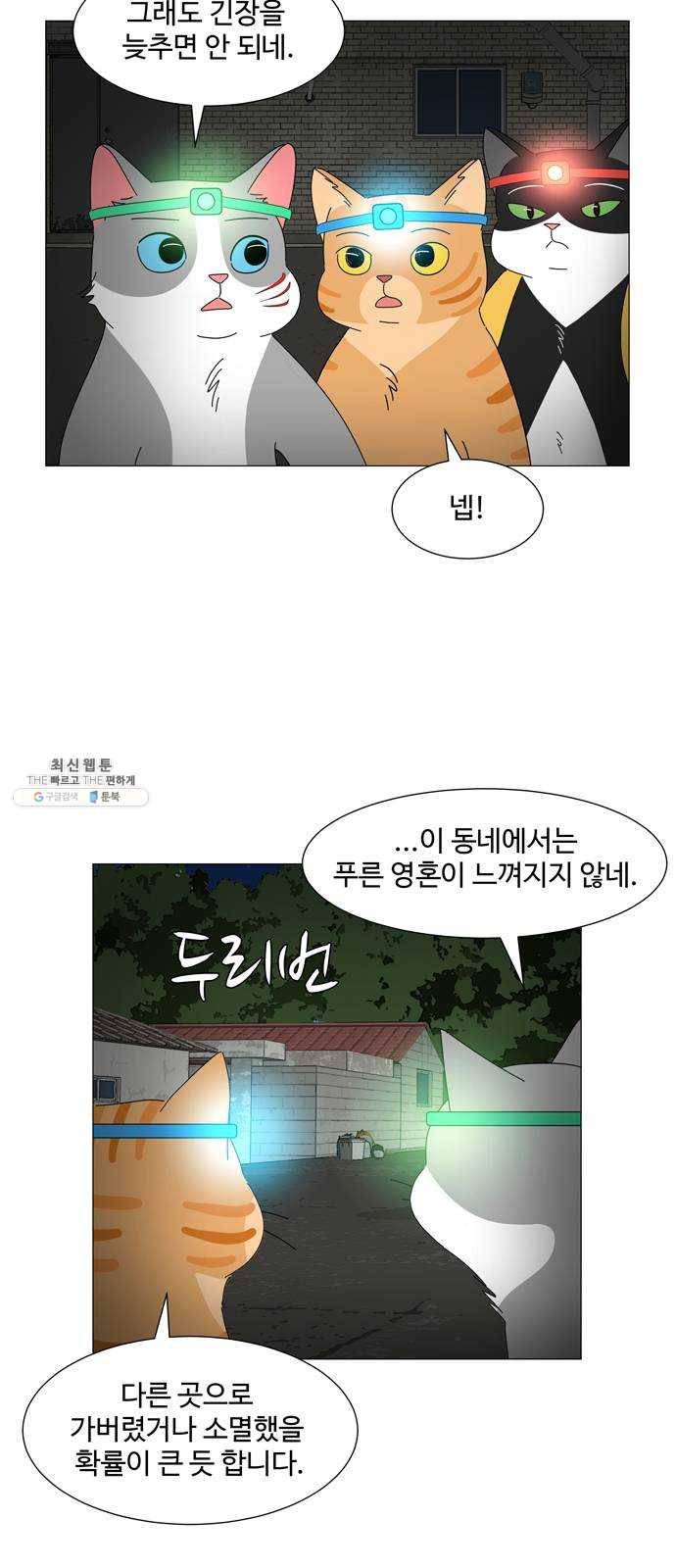 야생천사 보호구역 11화 푸른 영혼을 찾아서 (2) 7
