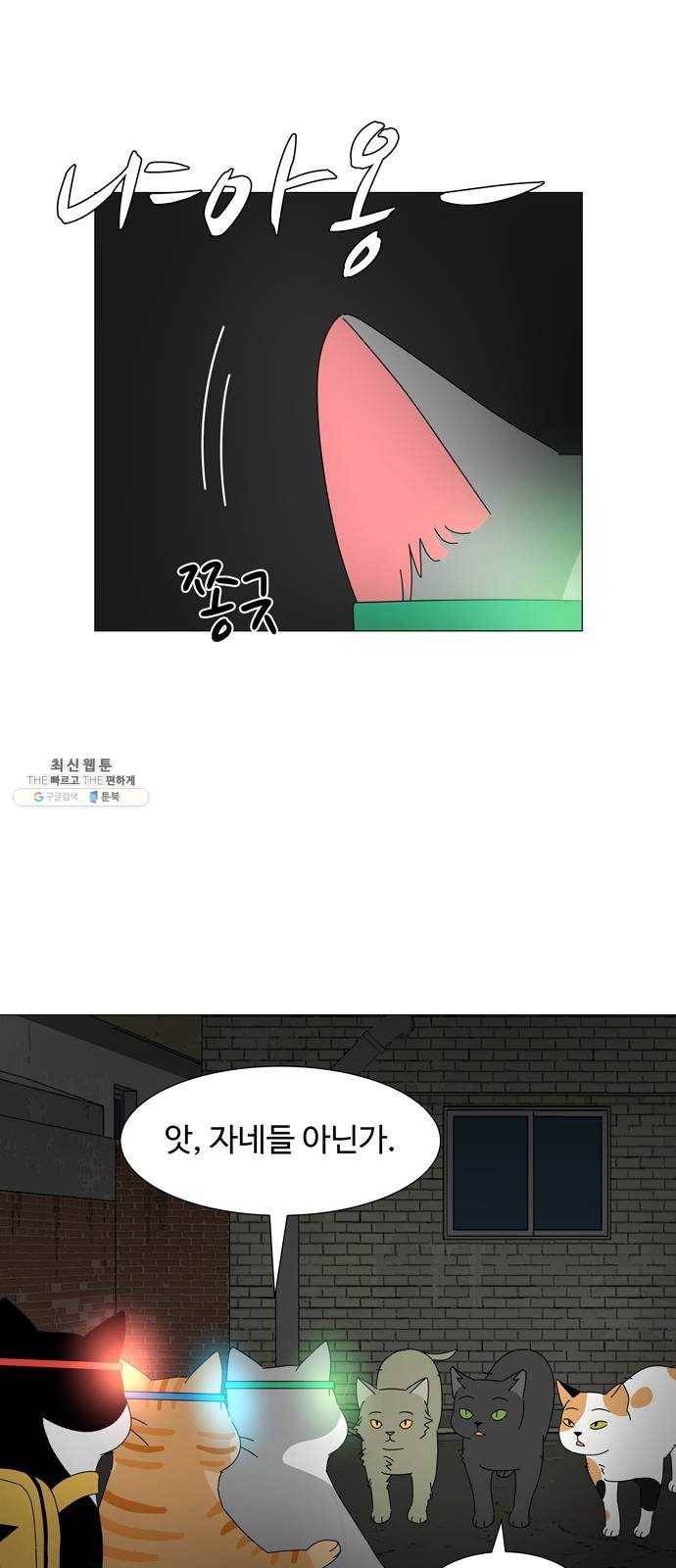 야생천사 보호구역 11화 푸른 영혼을 찾아서 (2) 8