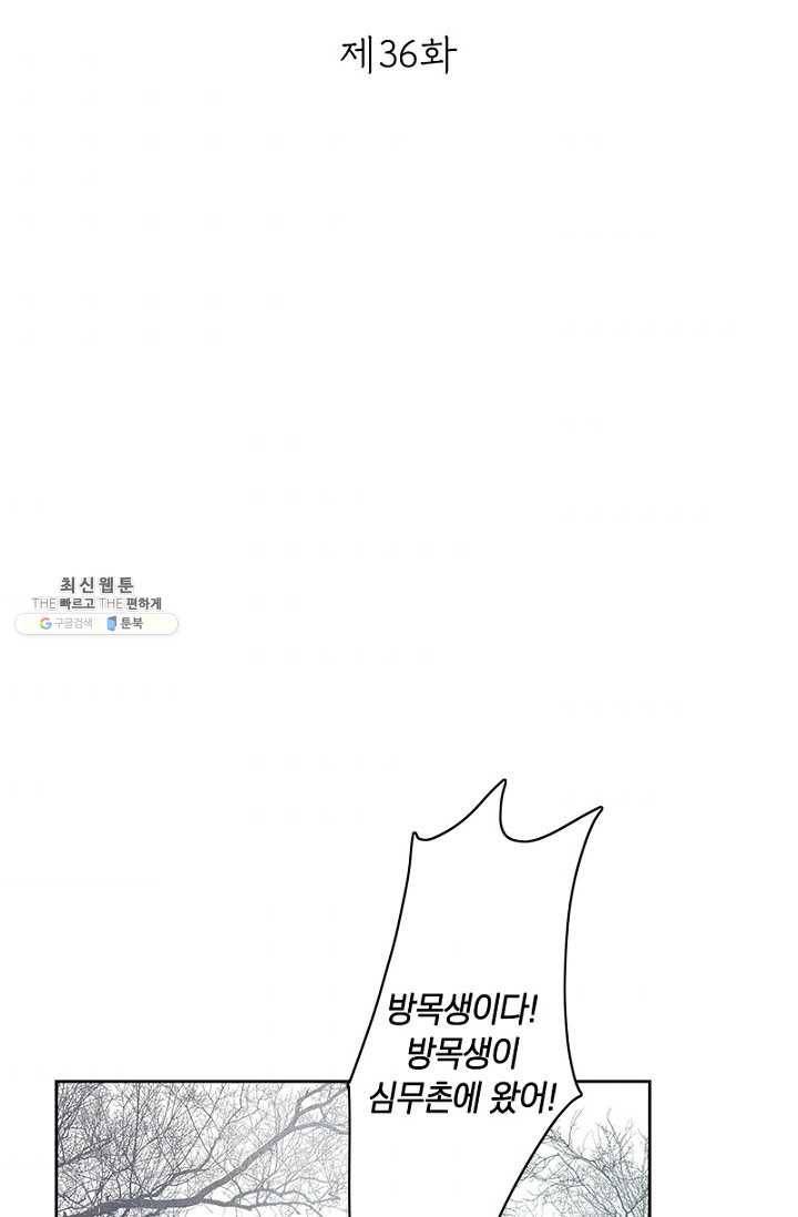 고홍 36화 2