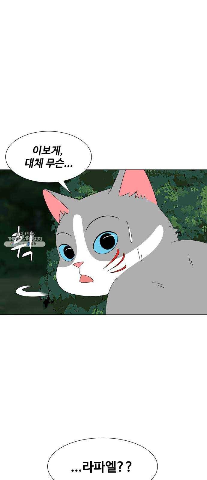 야생천사 보호구역 12화 타이밍 1