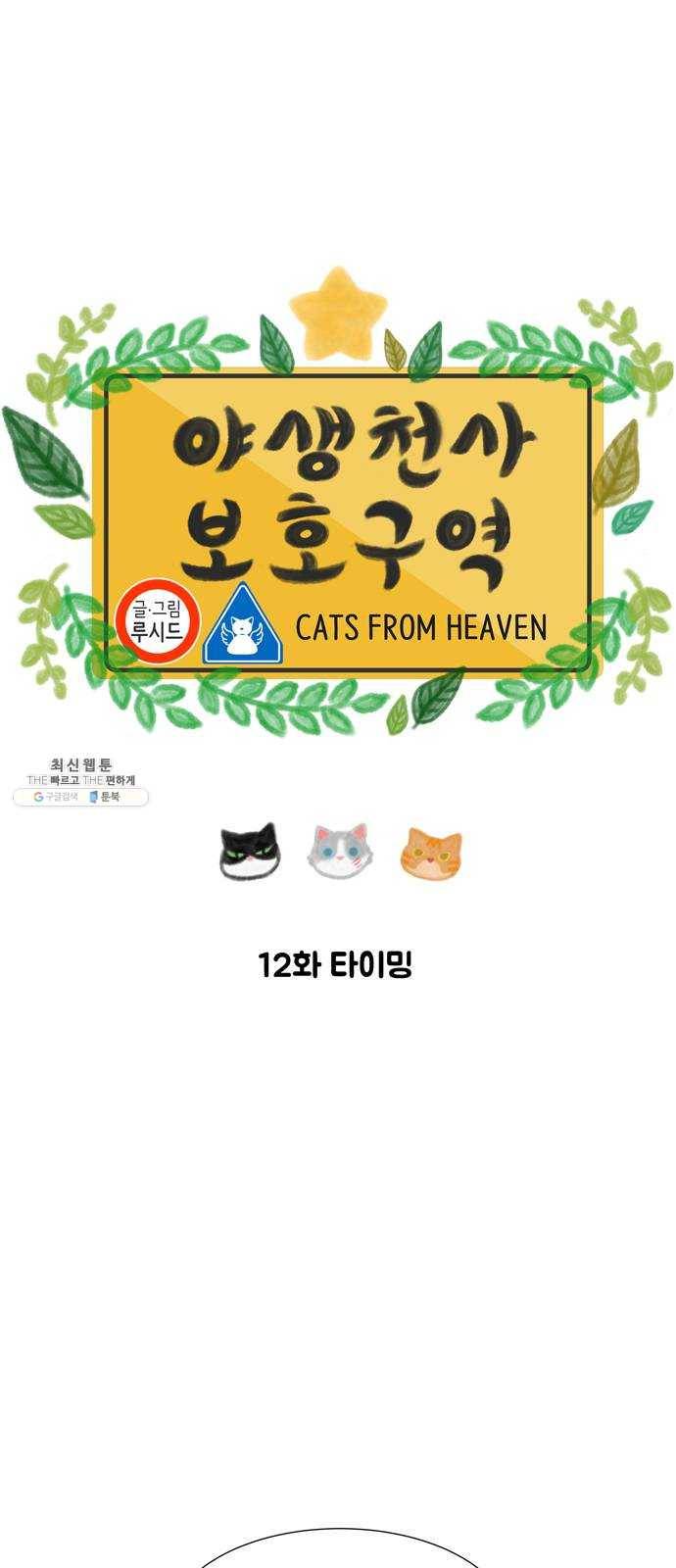 야생천사 보호구역 12화 타이밍 3