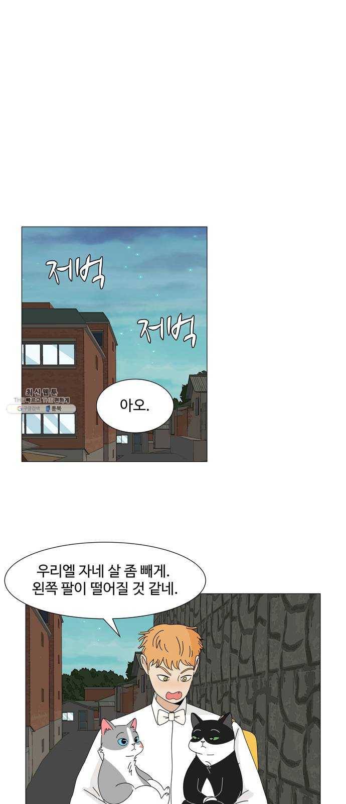 야생천사 보호구역 12화 타이밍 8
