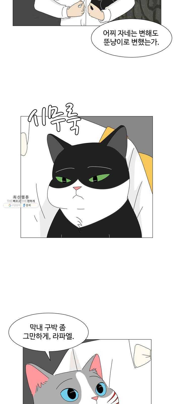 야생천사 보호구역 12화 타이밍 9
