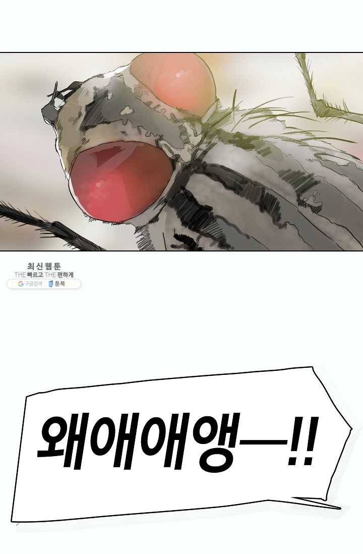 코네티컷 영기 37화 17
