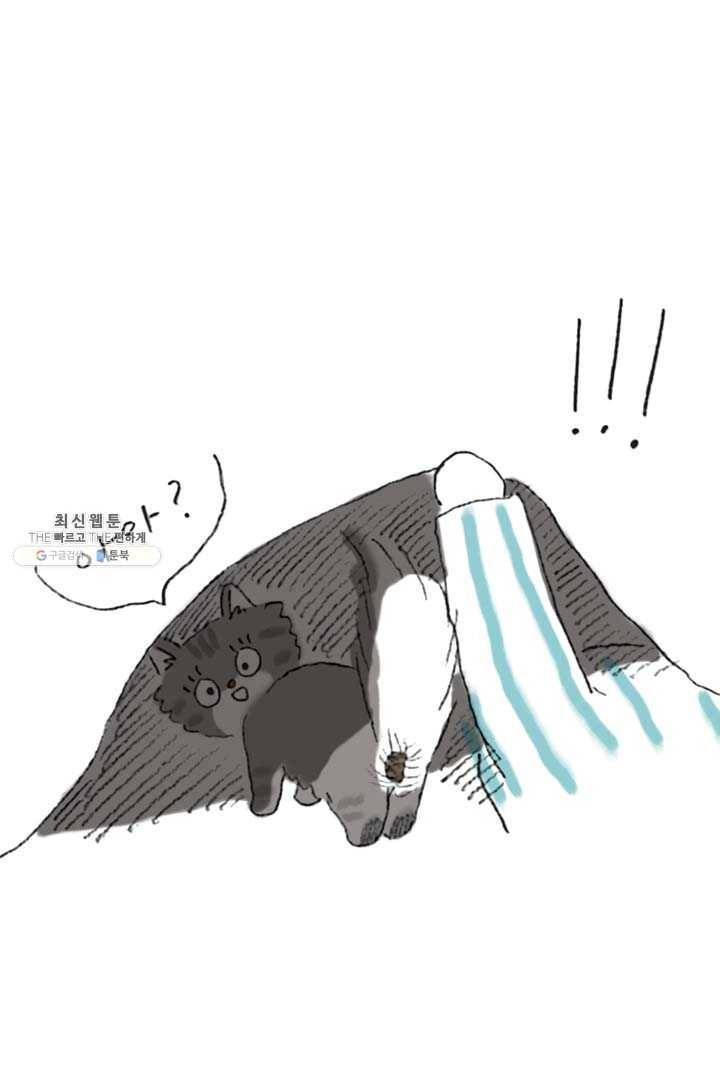 은동은동+옹동스 147화. 은동 응가 사건 5