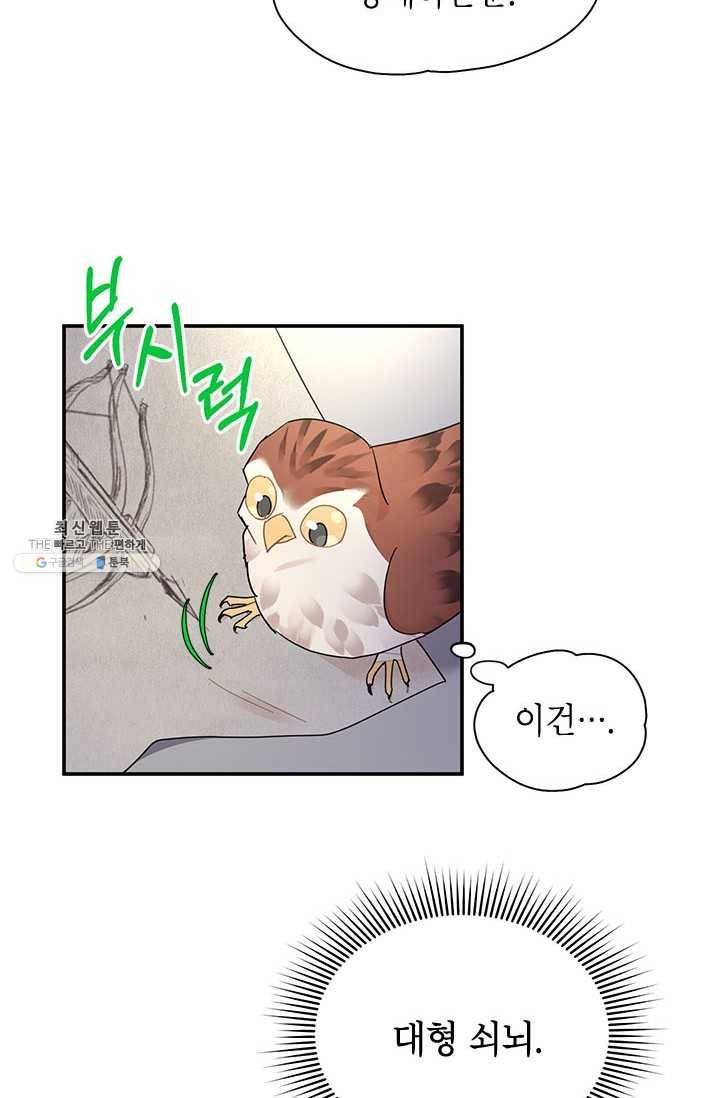 전령새 왕녀님 21화 6