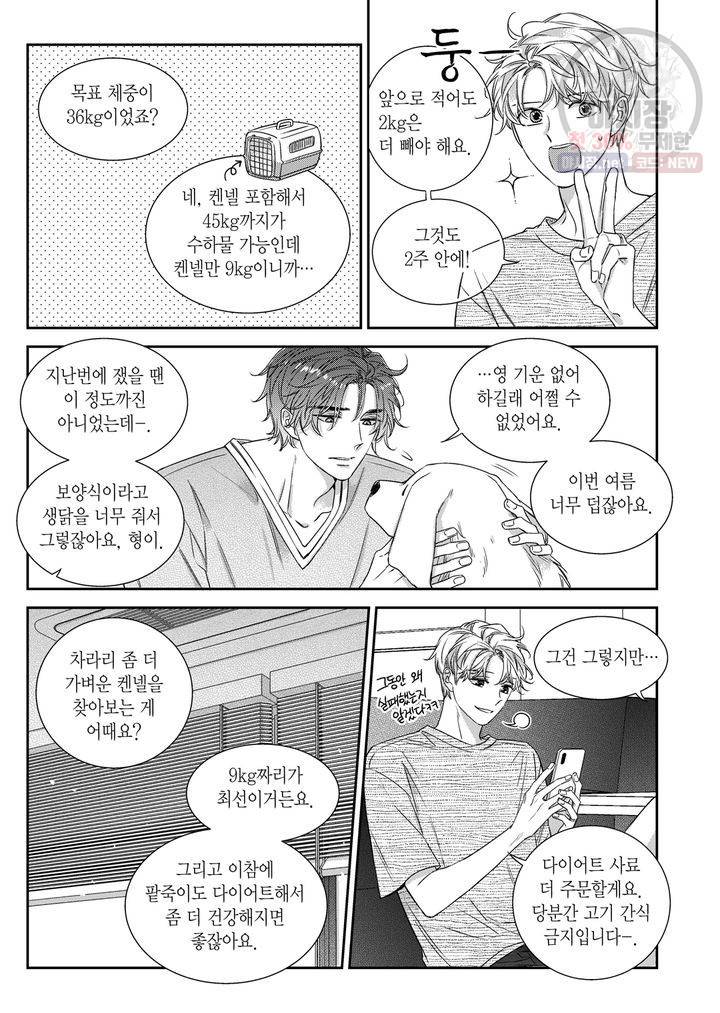 비의도적 연애담 63화 3