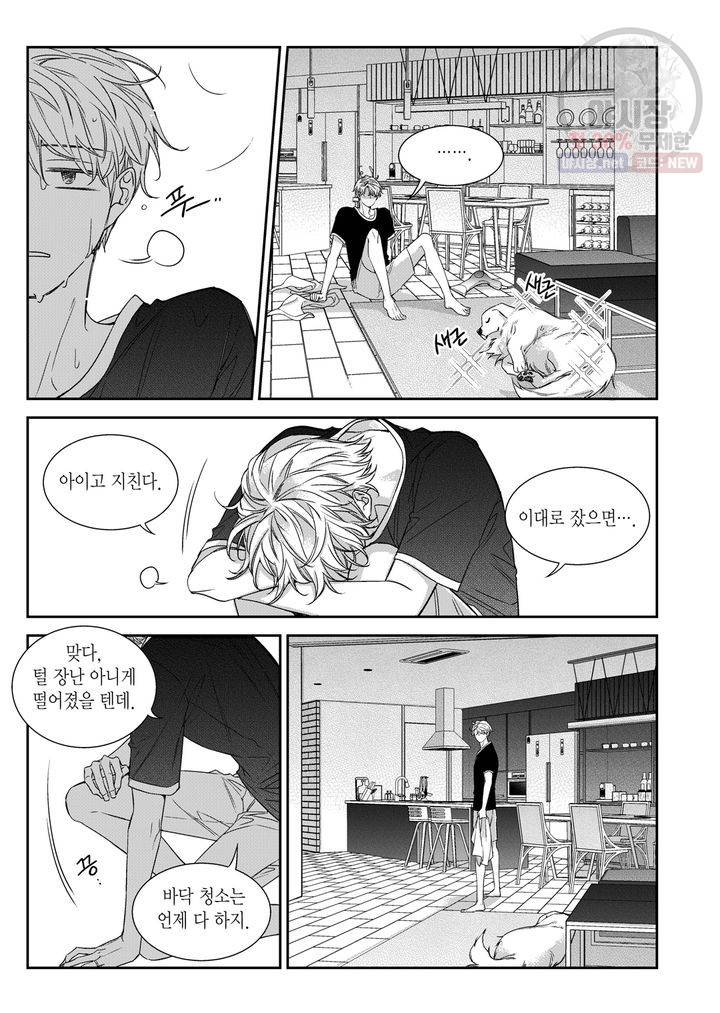 비의도적 연애담 63화 15