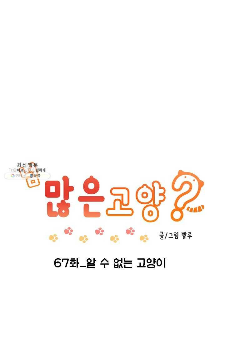 넘 많은 고양! 068화 1