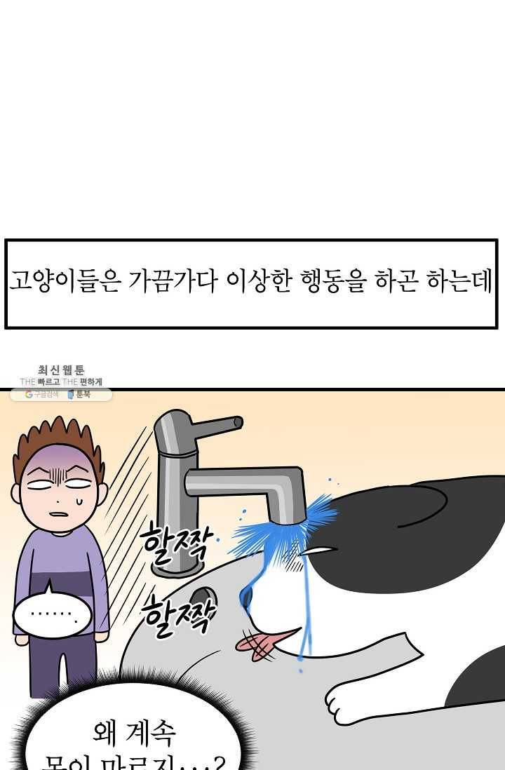 넘 많은 고양! 068화 2