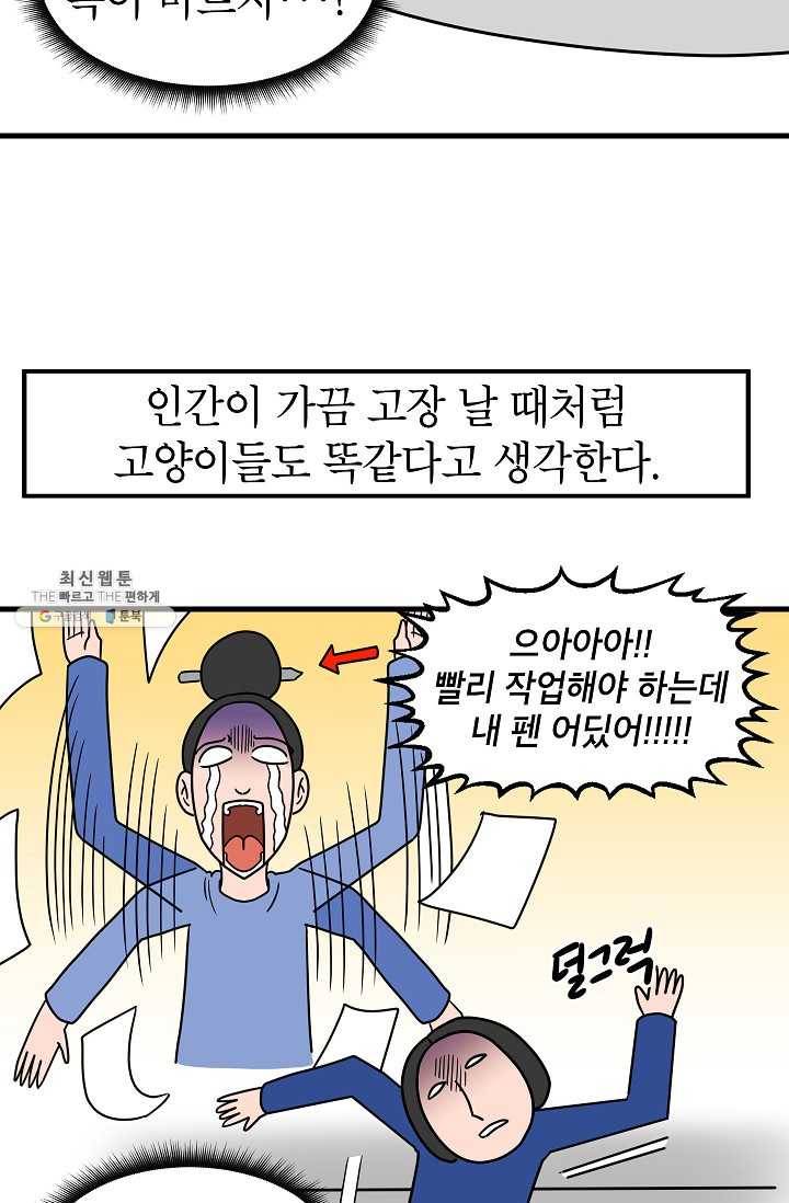 넘 많은 고양! 068화 3