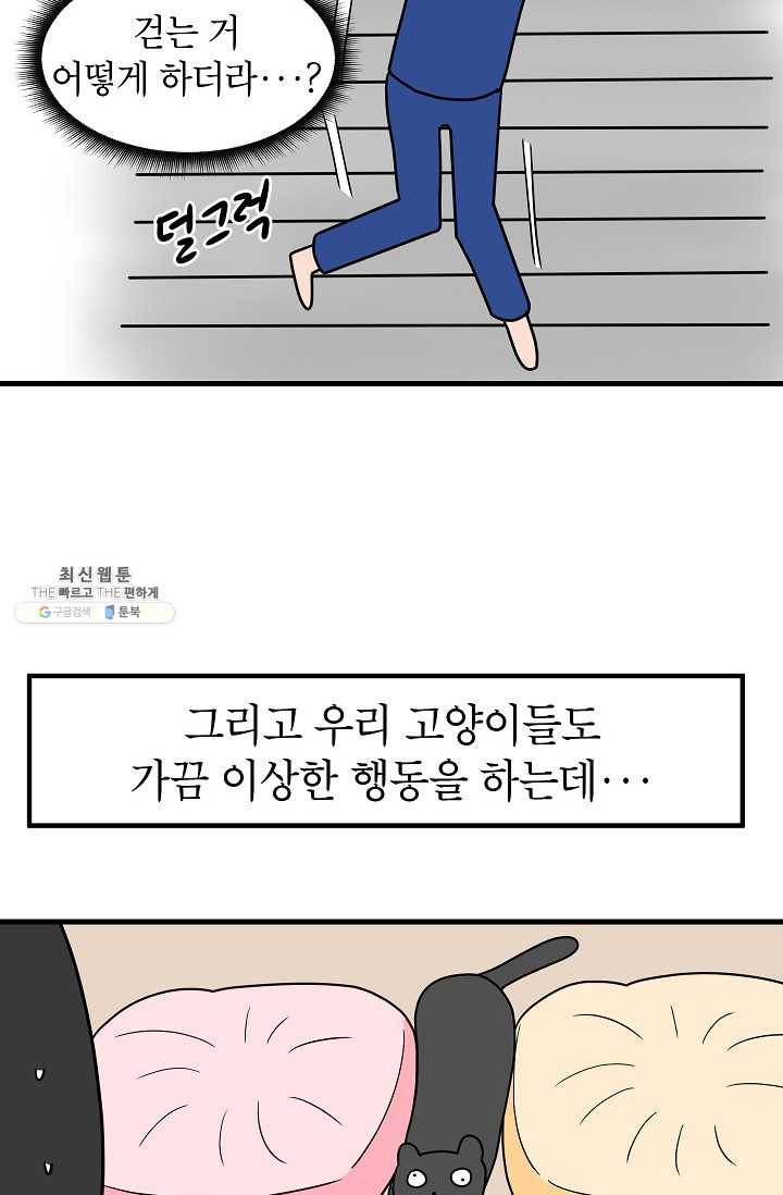 넘 많은 고양! 068화 4