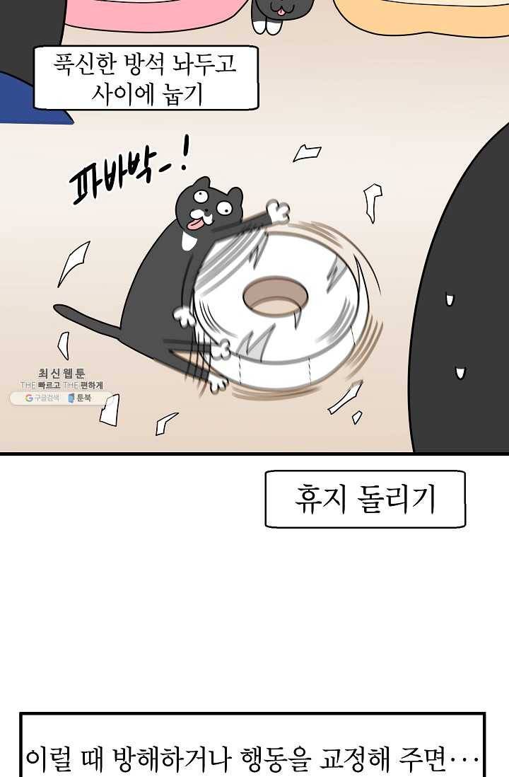 넘 많은 고양! 068화 5