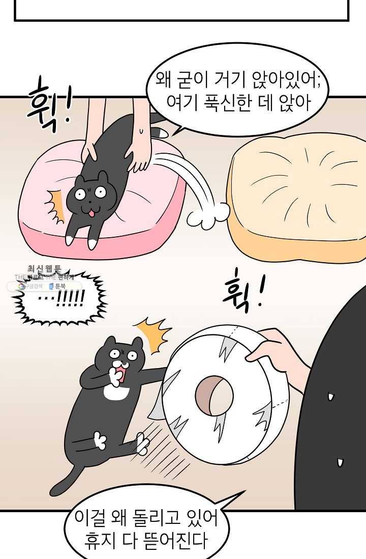 넘 많은 고양! 068화 6