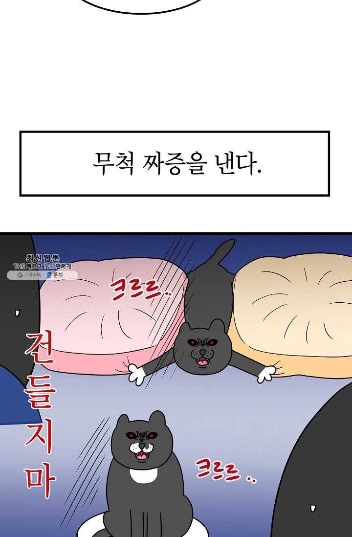넘 많은 고양! 068화 7