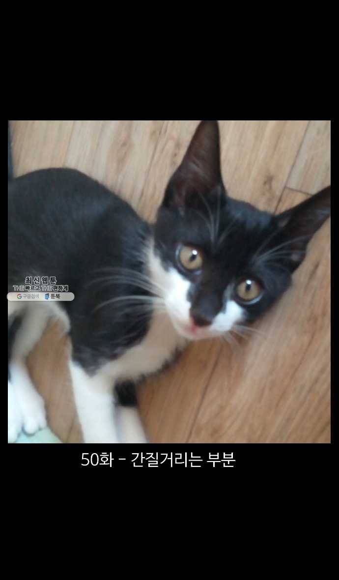 노곤하개 시즌4 50화 간질거리는 부분 1