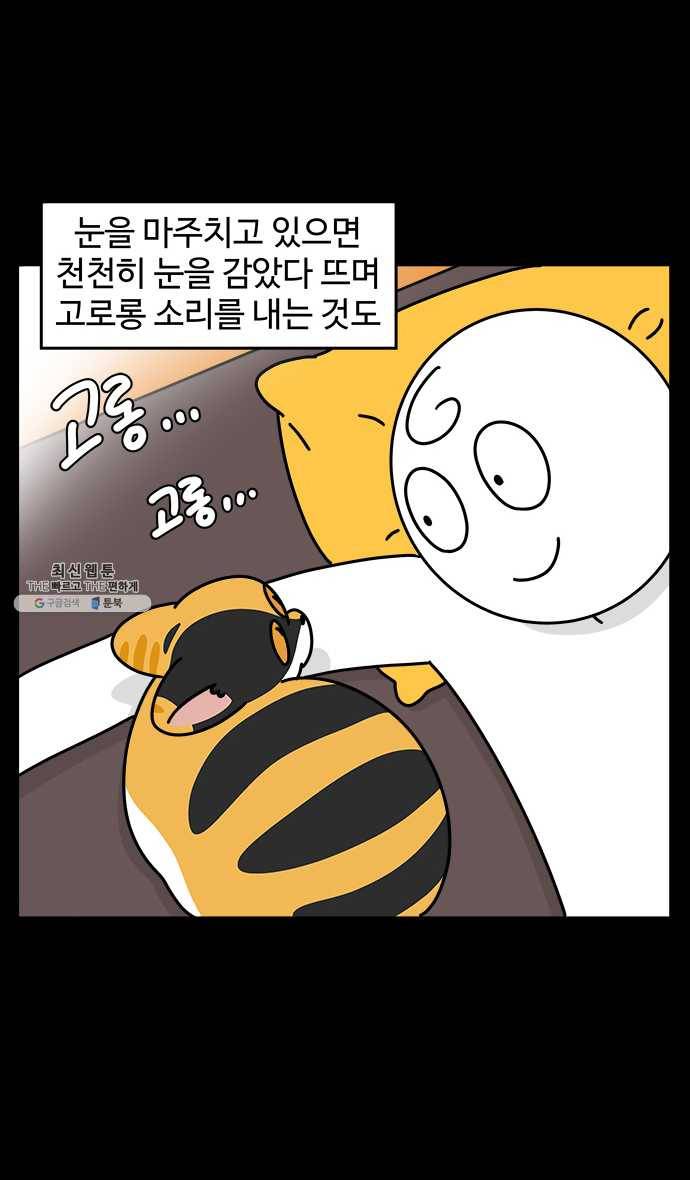 노곤하개 시즌4 50화 간질거리는 부분 3